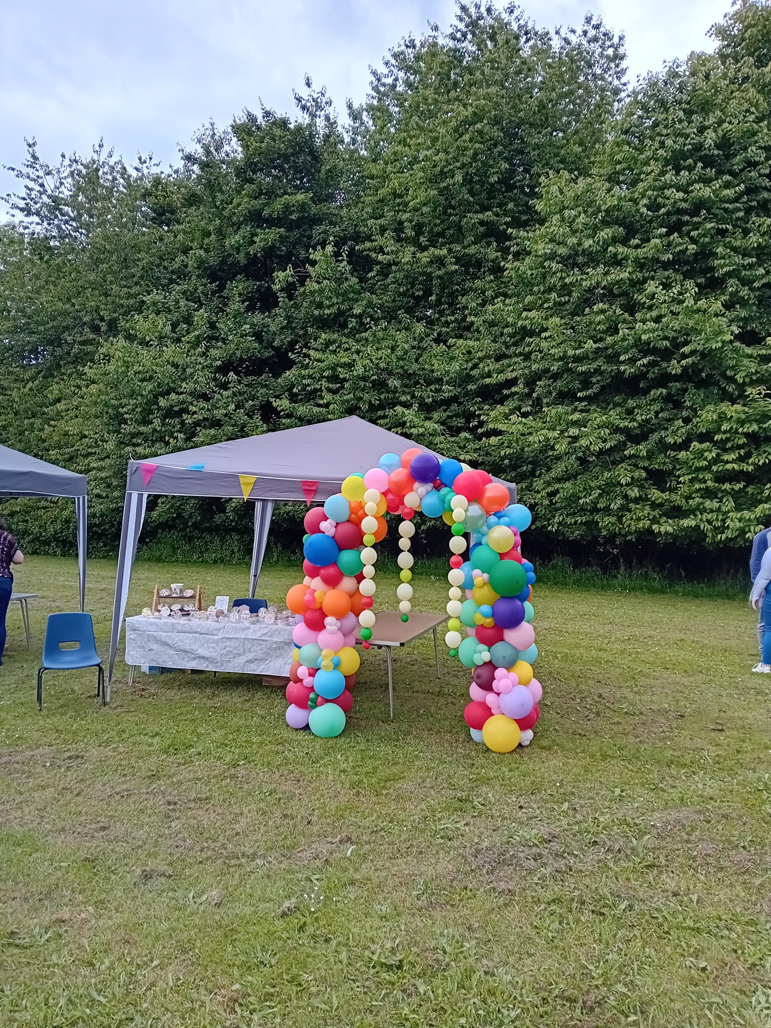Balloon installation by Balloons by Bee, Andover — photo 140